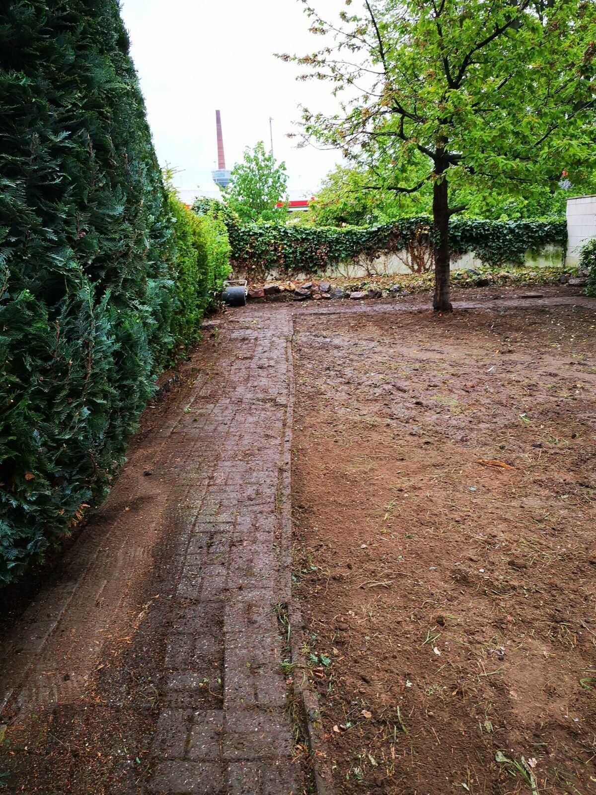 Projekt 2